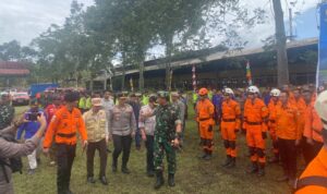 Screenshot_2023-01-14-15-30-18-74_6012fa4d4ddec268fc5c7112cbb265e7