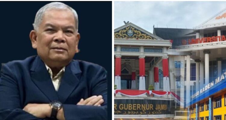 Pengamat Kebijakan Publik Menyoroti Kisruh Jabatan Dirut RSUD Raden Mattaher. Foto: Istimewa
