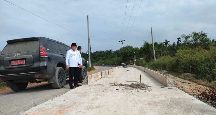 Tahap Proses Pengerjaan, Al Haris Tinjau Proyek Ruas Jalan Provinsi Sungai Saren - Senyerang. Foto: Riky Serampas